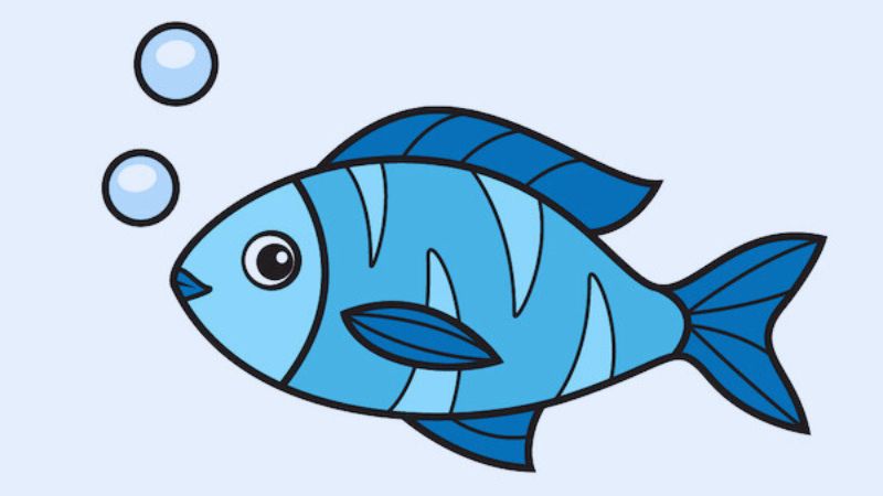 Có nhiều thành ngữ liên quan đến con cá trong tiếng Anh. (Ảnh: Sưu tầm internet)