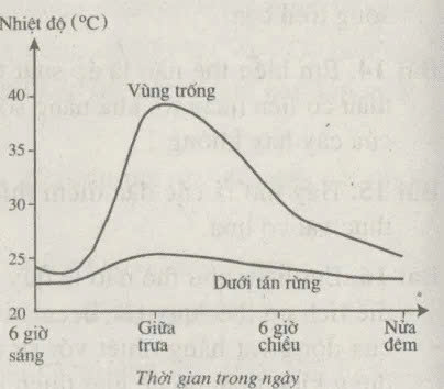 dai duong co bien do nhiet do nho hon luc dia vi 4