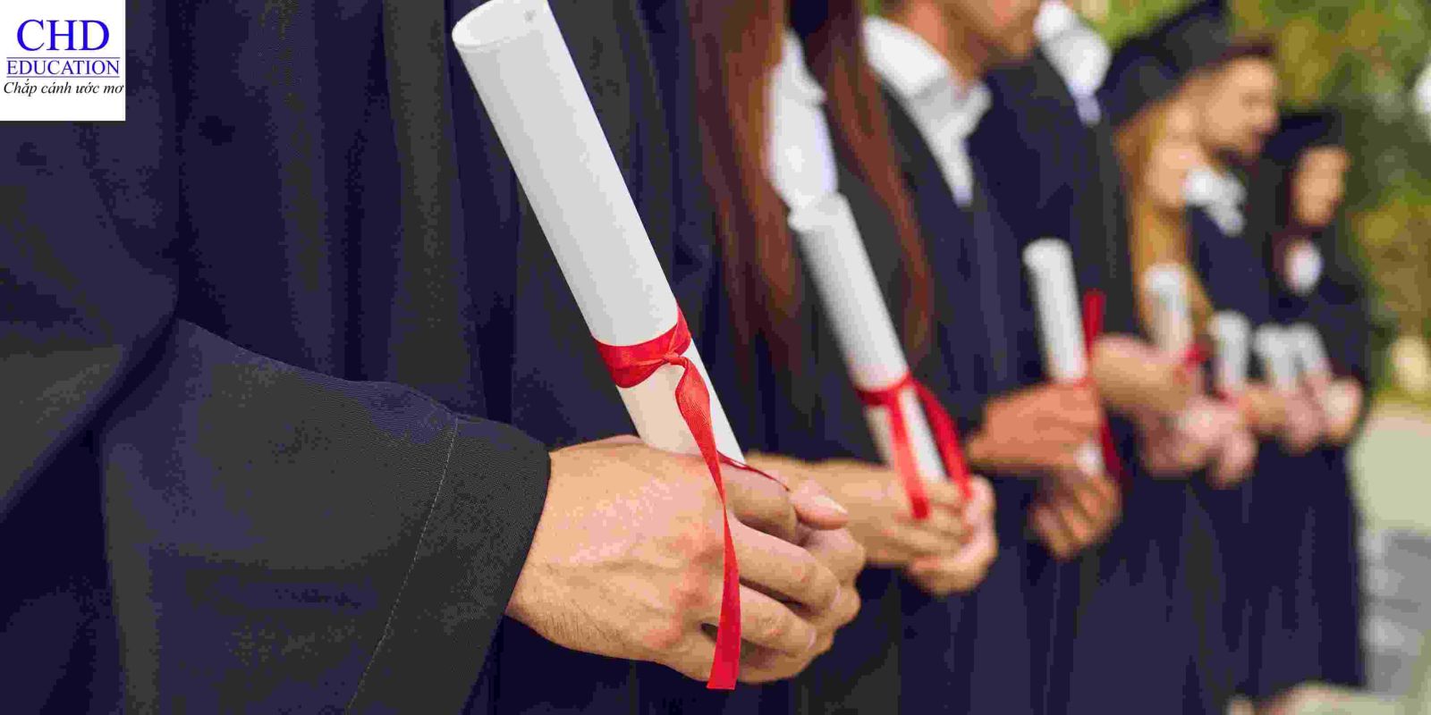 dai hoc my tai viet nam 1