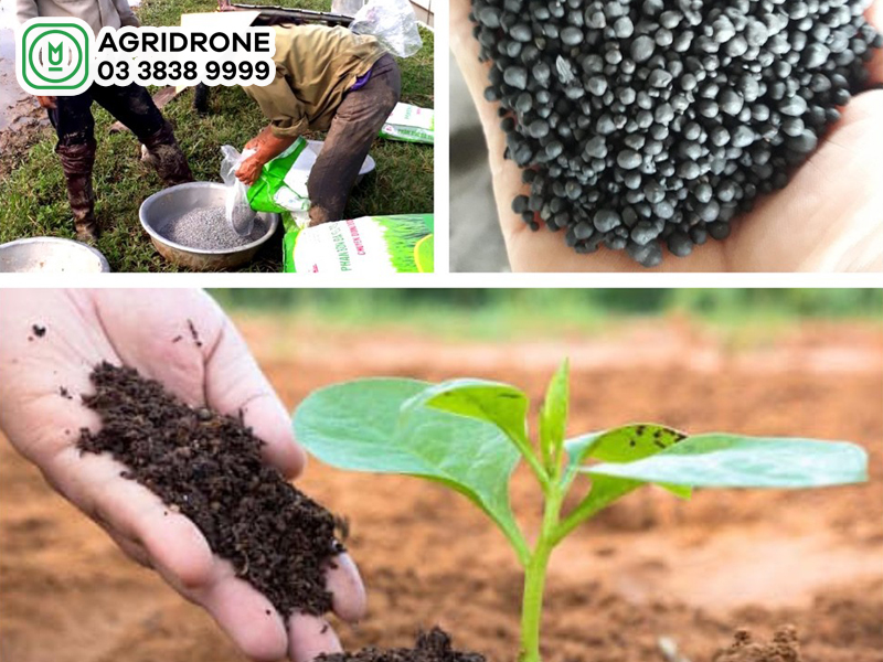 khong nen bon phan dam cung voi voi vi 03