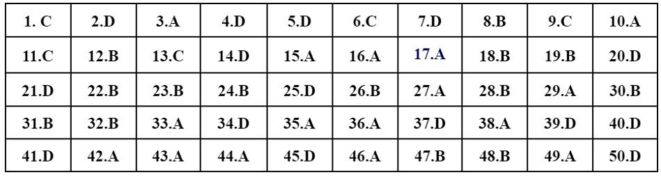 đề thi chính thức và đáp án môn Tiếng Anh kỳ thi tốt nghiệp THPT Quốc gia - 10