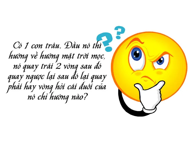 bo-tui-list-cau-do-hai-nao-cuc-hay-co-dap-an-voh-4