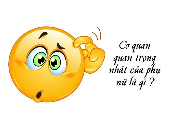 bo-tui-list-cau-do-hai-nao-cuc-hay-co-dap-an-voh-0