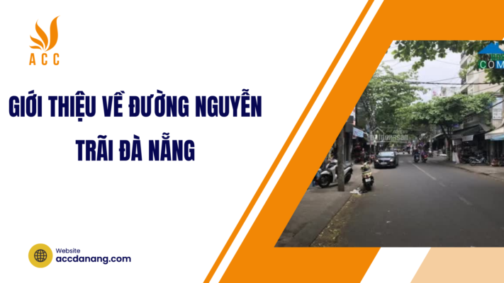 đường nguyễn trãi đà nẵng