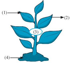 LogoDescription automatically generated