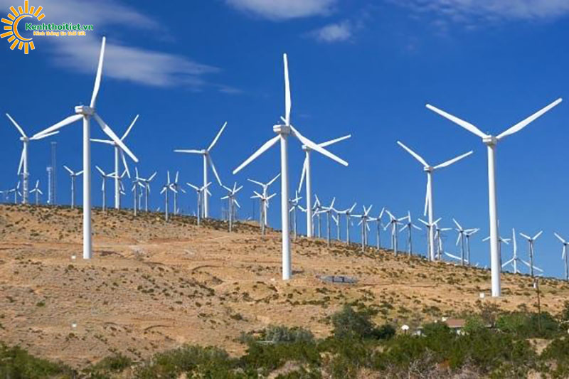 Gió mậu dịch có tính chất gì?