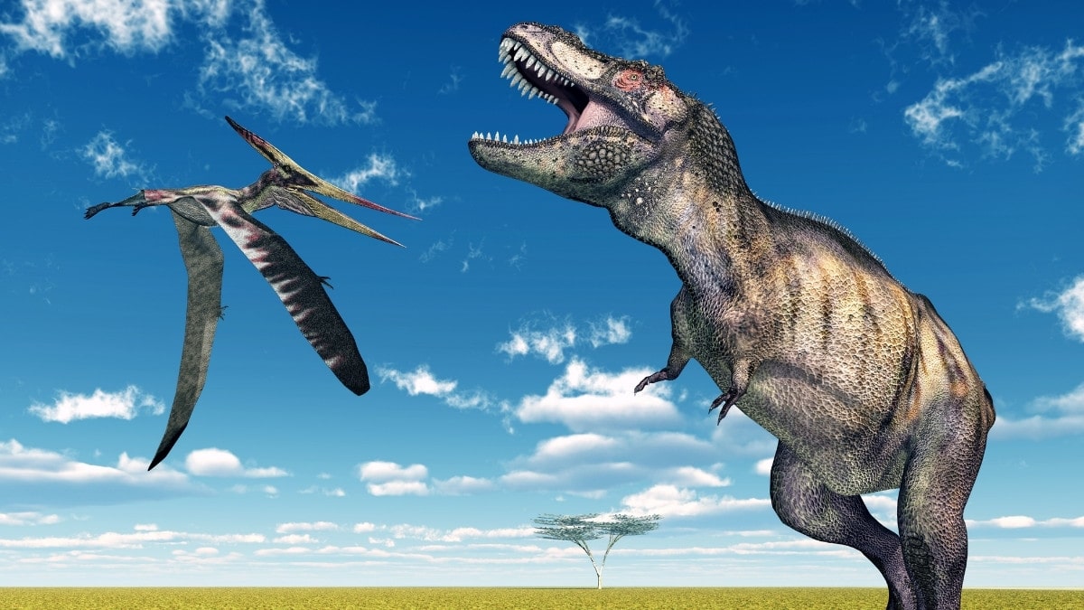 Hình nền Khủng Long cặp phong cách cute lãng mạn