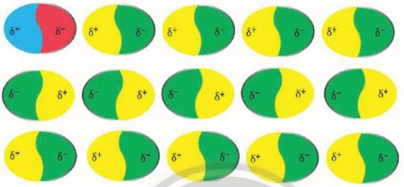 hoa 10 chan troi sang tao bai 11