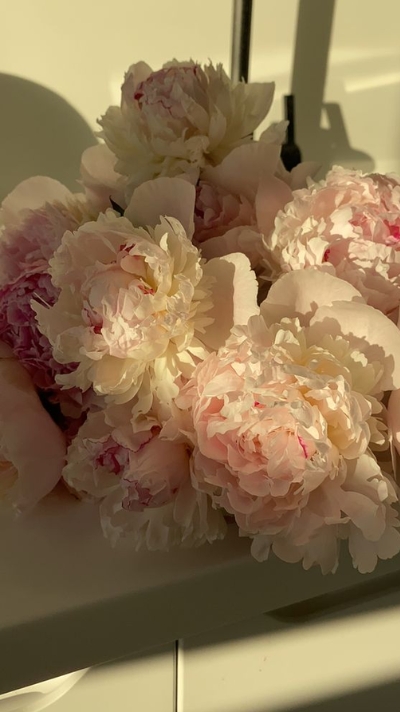 hình nền hoa mẫu đơn thu hút tài lộc