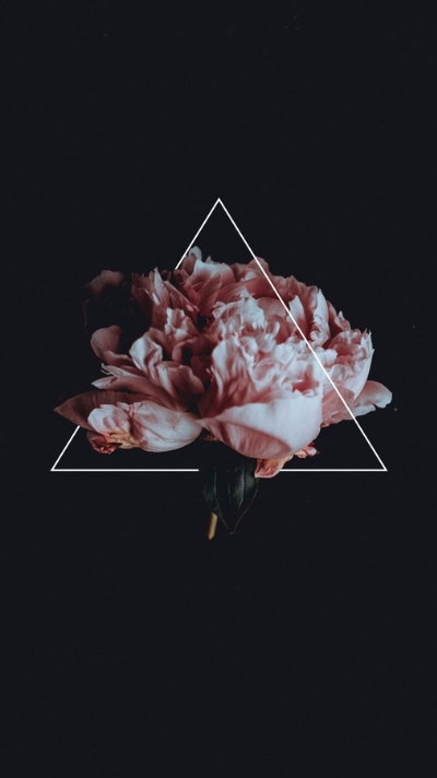 hình nền hoa mẫu đơn buồn tâm trạng