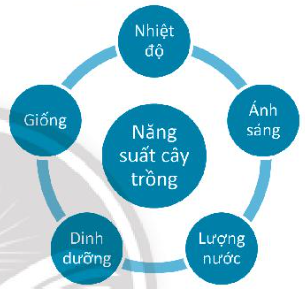 DiagramDescription automatically generated