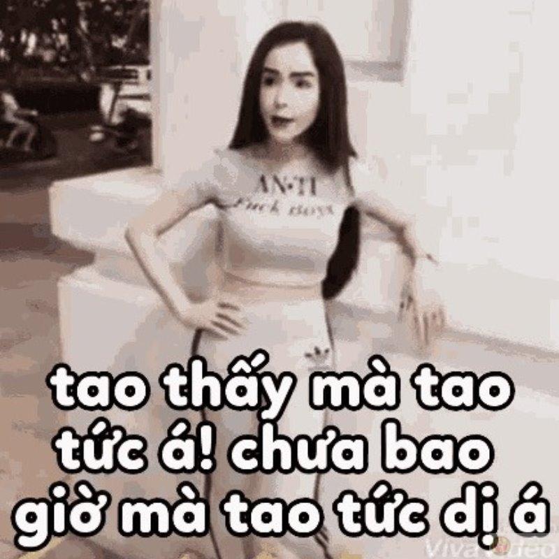 Linda chửi meme