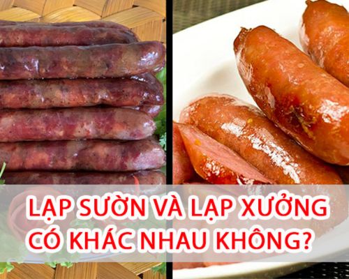 vi-sao-hay-nham-lan-giua-lap-suon-va-lap-xuong