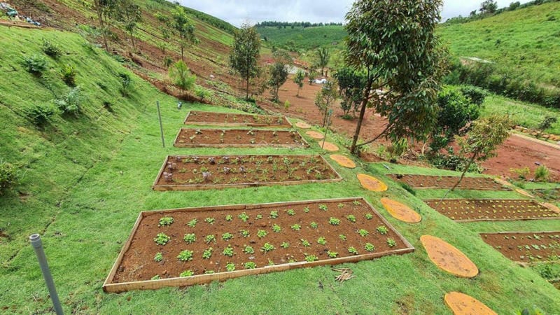 bán đất theo mét ngang