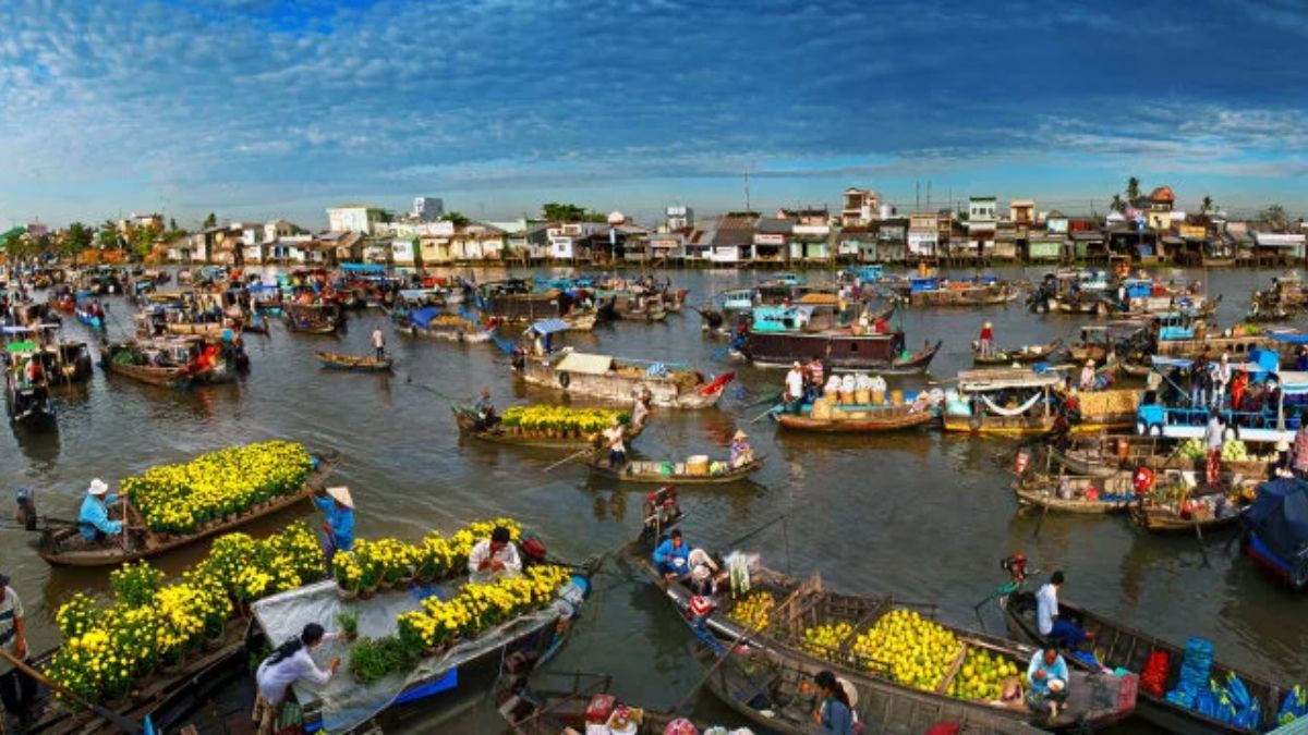 Cách sử dụng đúng chuẩn từ ní là gì