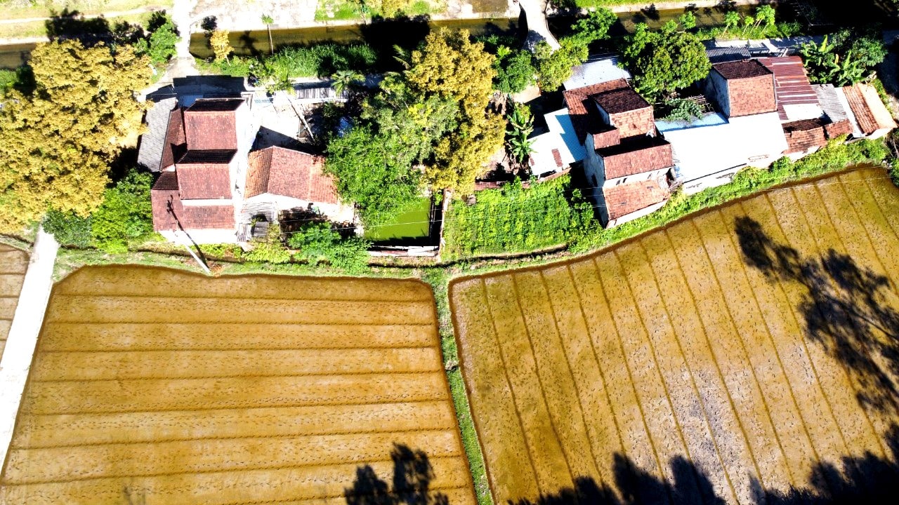 Làng quê Quảng Nam. Ảnh: PHƯƠNG THẢO