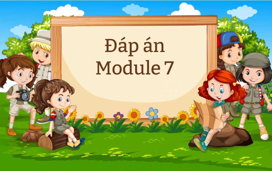 Hướng dẫn cách xây dựng Module 7