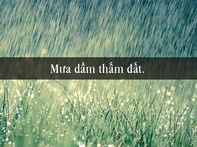 Giải thích ý nghĩa thành ngữ “Mưa dầm thấm lâu” 3