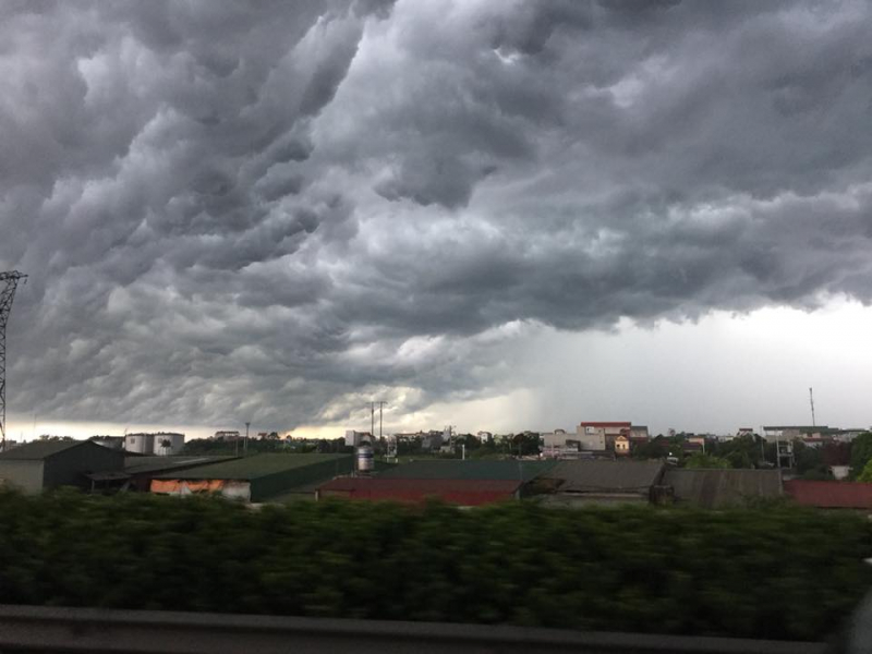 mua giong hay dong 1