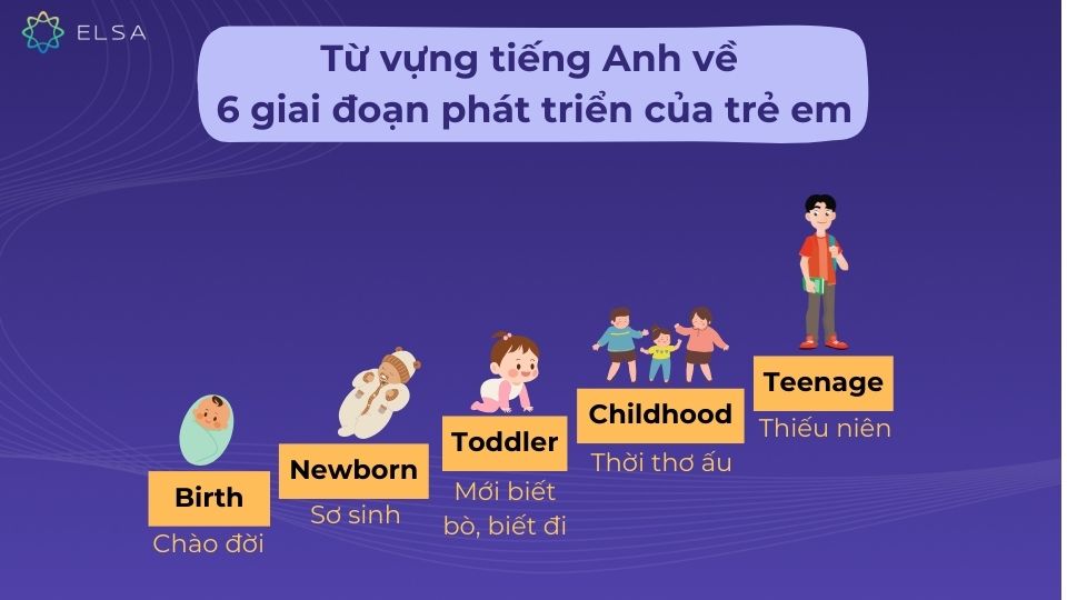 Từ vựng tiếng Anh chỉ 6 giai đoạn phát triển của trẻ em