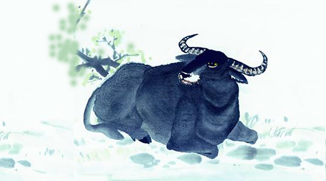 nam 1997 bao nhieu tuoi 1