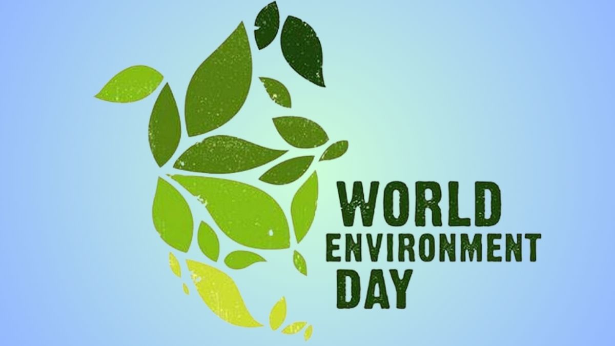 Ngày 5/6 là ngày gì?Ngày môi trường thế giới (5/6/1972)