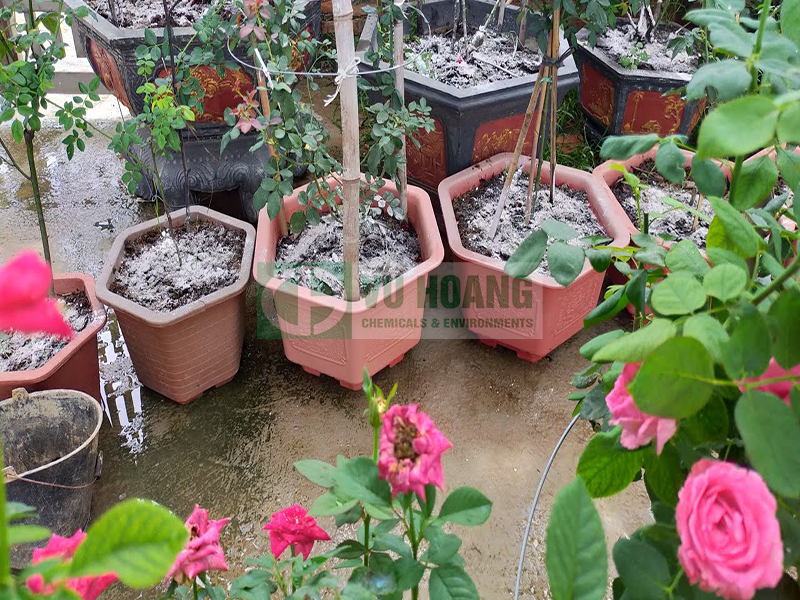 tri-nam-hoa-bang-voi-bot