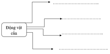 Vở bài tập Khoa học lớp 4 Cánh diều Ôn tập chủ đề Thực vật và động vật 