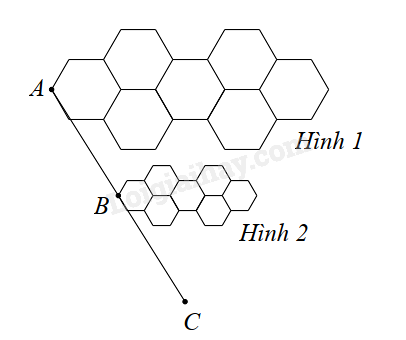 Đề cương ôn tập học kì 2 Toán 8 - Kết nối tri thức</>