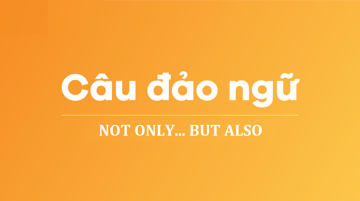 cấu trúc not only but also