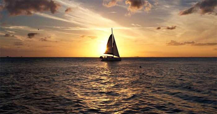 Đoàn thuyền đánh cá