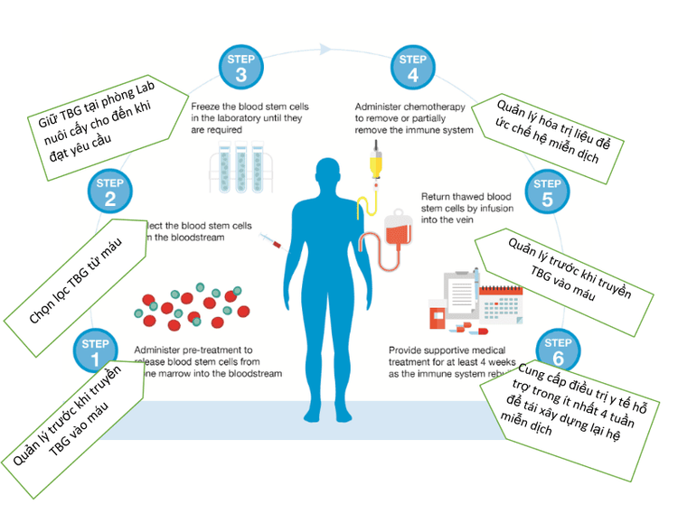 Truyền tế bào gốc tạo máu tự thân