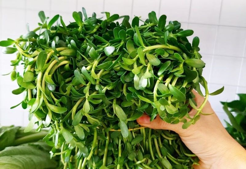 Tổng hợp các loại rau nêm canh chua thông dụng để đi chợ không mua thiếu