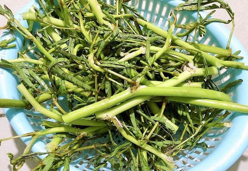 Tổng hợp các loại rau nêm canh chua thông dụng để đi chợ không mua thiếu