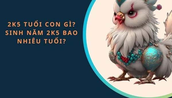 tìm hiểu 2k5 bao nhiêu tuổi