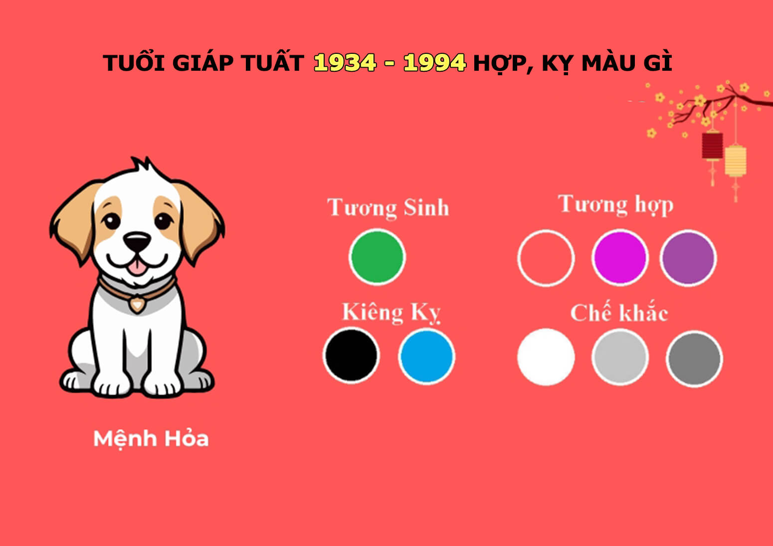 Tuổi Giáp Tuất hợp gì, kỵ gì