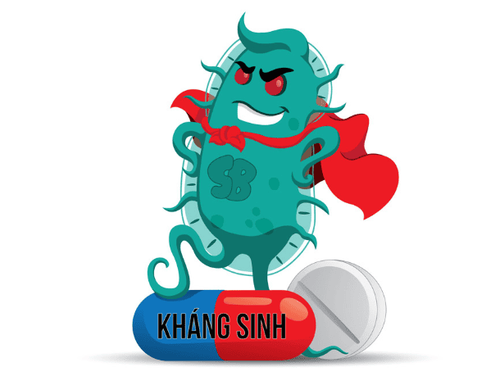 Thuốc kháng sinh ức chế sinh tổng hợp vách tế bào vi khuẩn