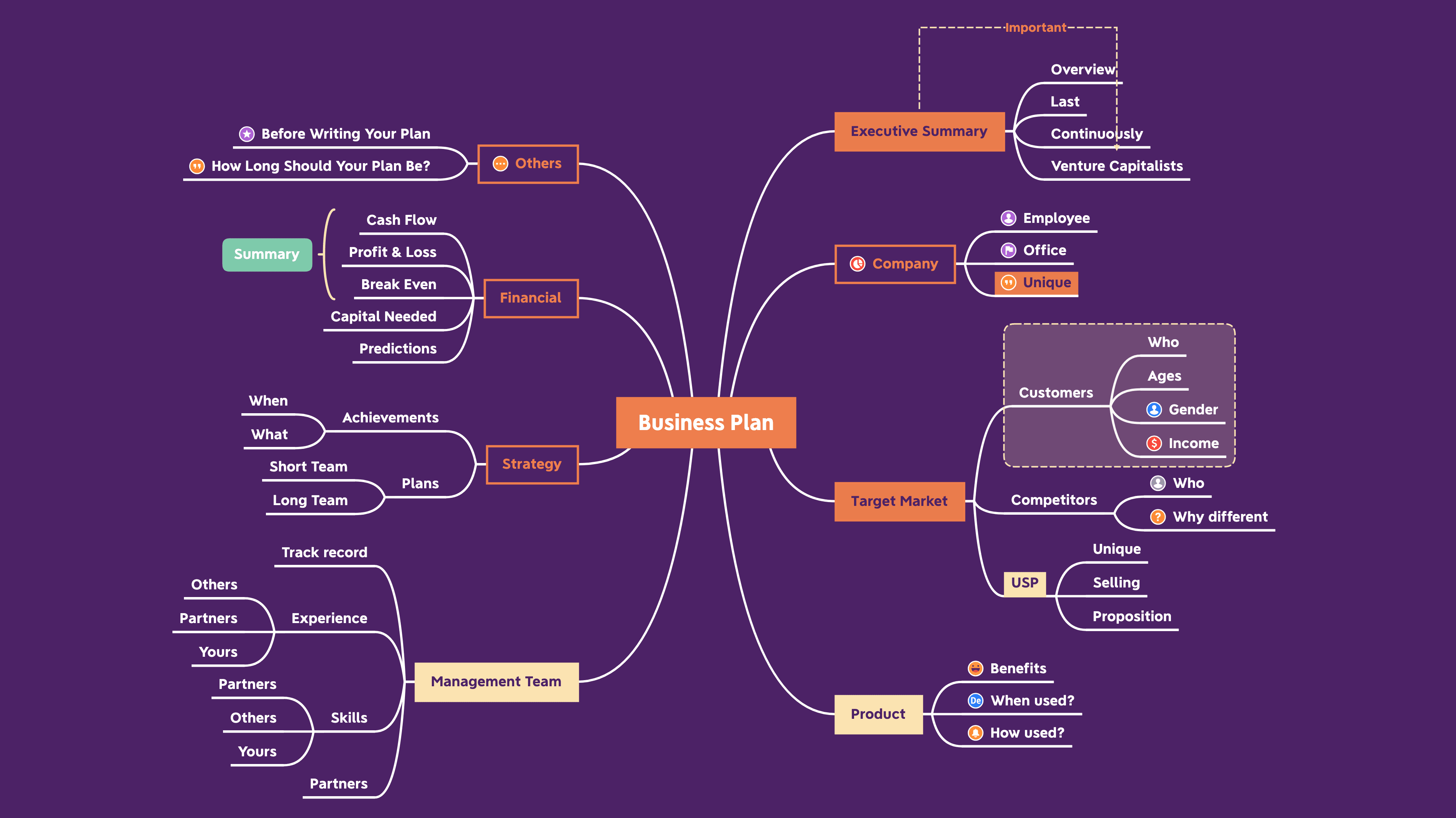Mind map outlining key components of a business plan including financials, strategies, management team, target market, and product details.