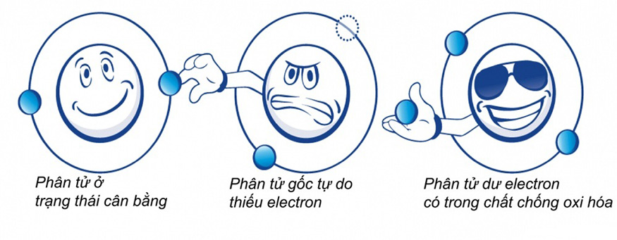 oxi hóa là gì? oxi hóa là quá trình một phân tử bị mất electron