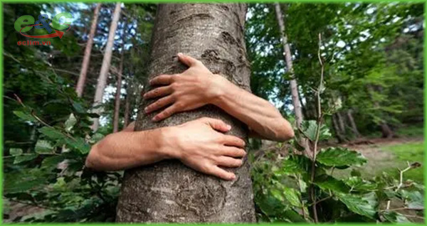 tai sao chung ta phai bao ve moi truong 2