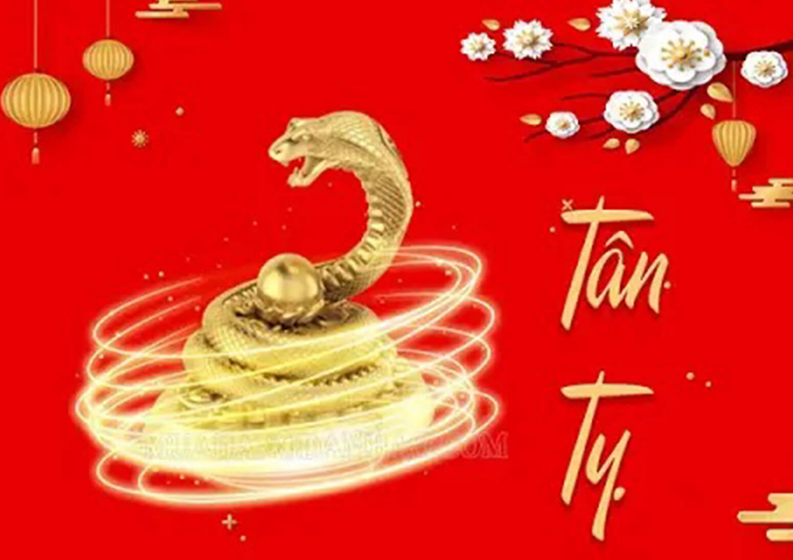 Sinh năm 1941 - 2001 tuổi gì? mệnh gì?