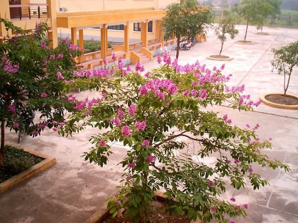 đánh giá trường THPT Lương Tài 2 có tốt không