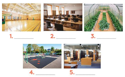 [Global success] Giải tiếng Anh 7 Unit 6: A visit to a school - Getting started