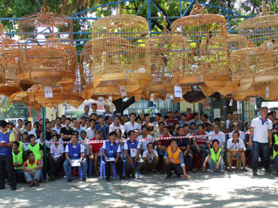 tieng hot chim chao mao 1