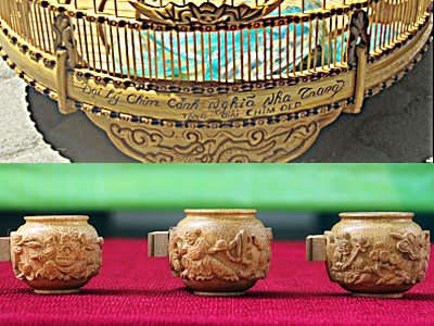 tieng hot chim chao mao 5