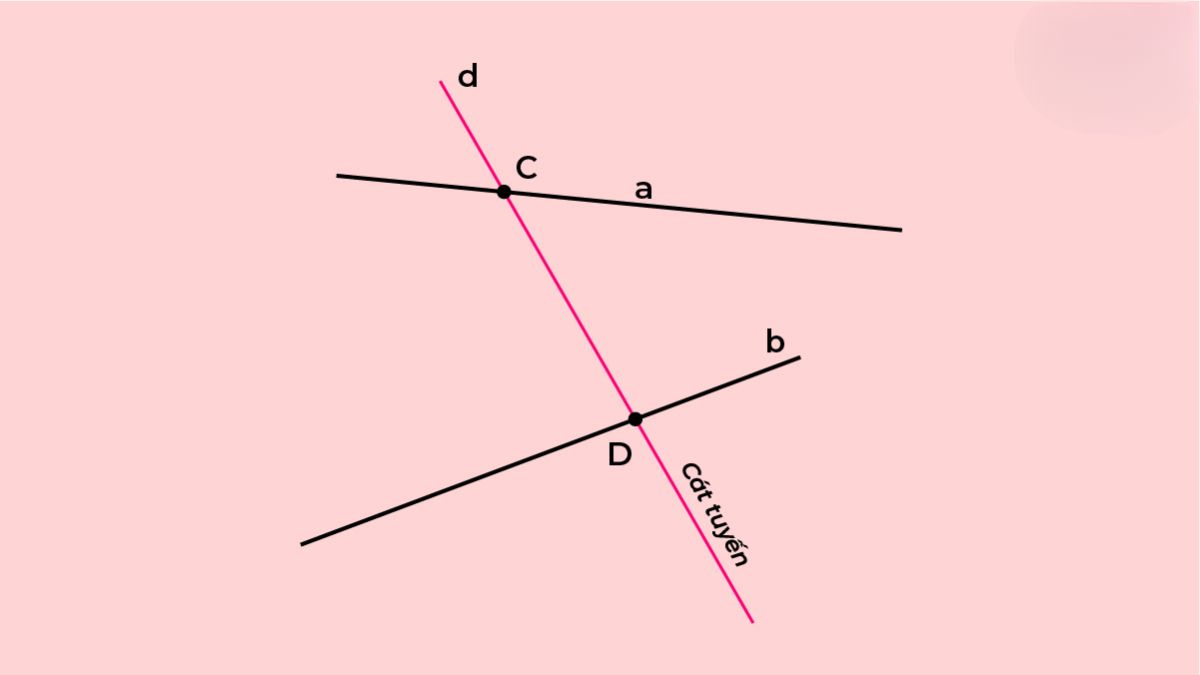 Tính chất của đường cát tuyến