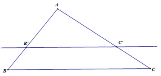 tong hop kien thuc toan lop 8 hoc ki 2 1