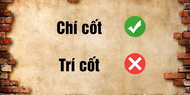Trí cốt hay chí cốt