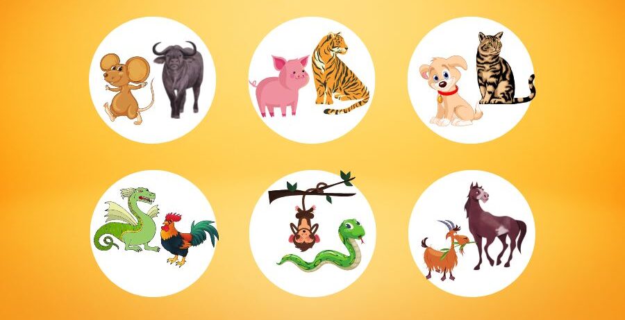 Hình: Chọn tuổi mở hàng theo tam hợp với gia chủ Nguồn: Internet