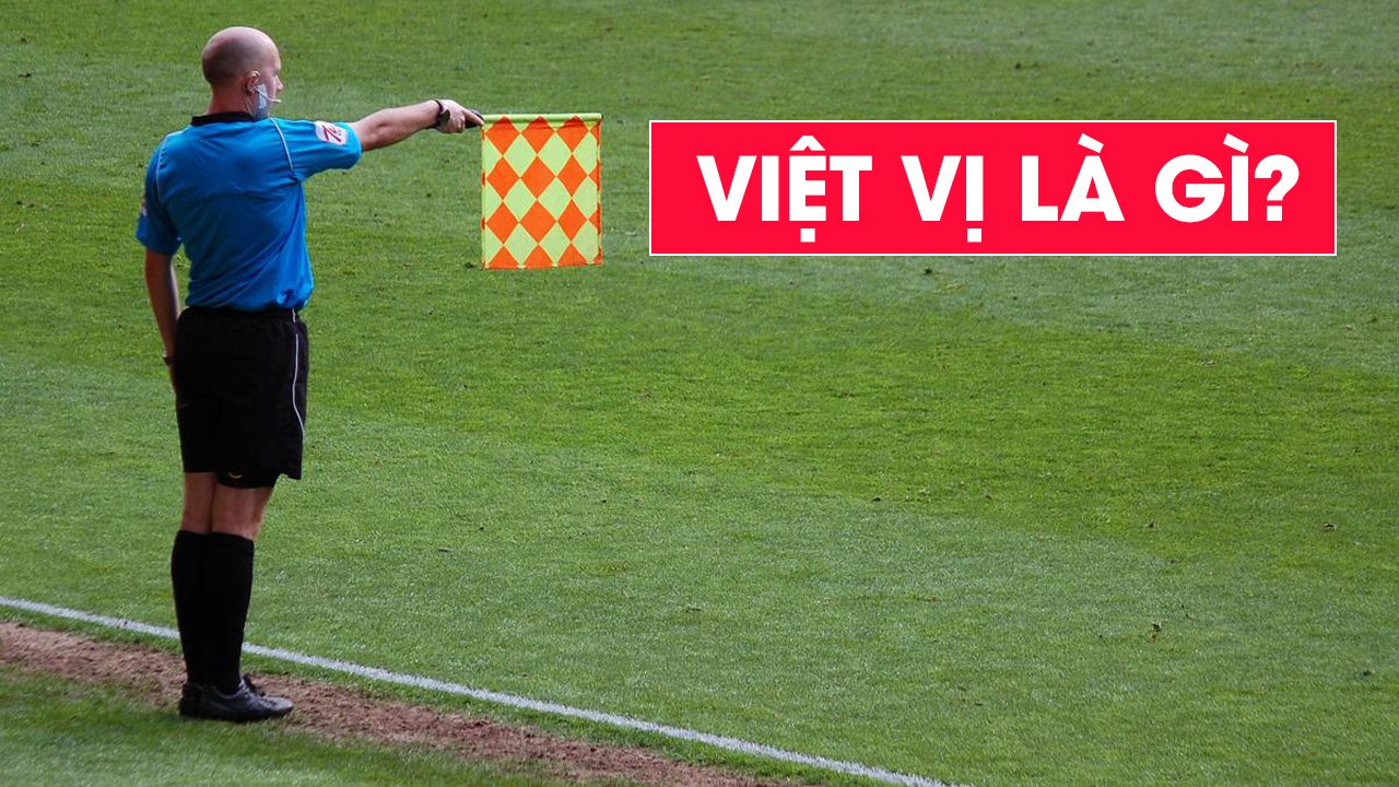 viet vi la gi